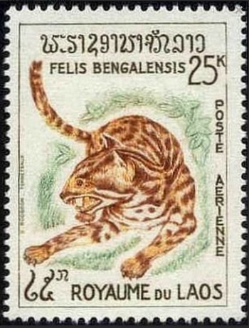 Laos, 1965. C47 tiger airmail stamp